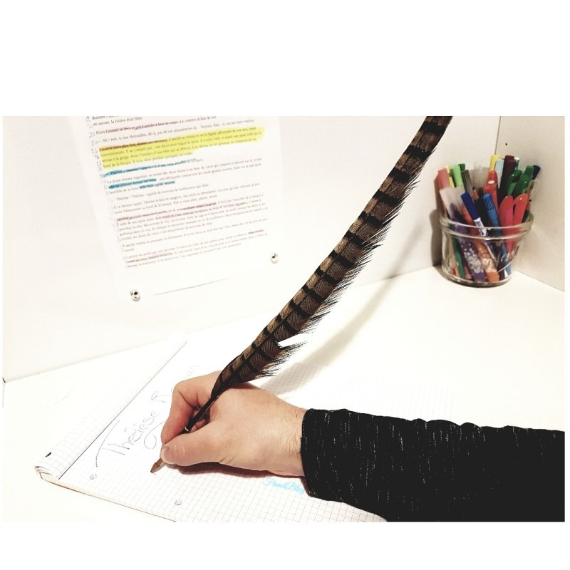 Nouvelle rubrique                                           &laquo;&nbsp;Lifestyle d&rsquo;un lycéen Français&nbsp;&raquo;